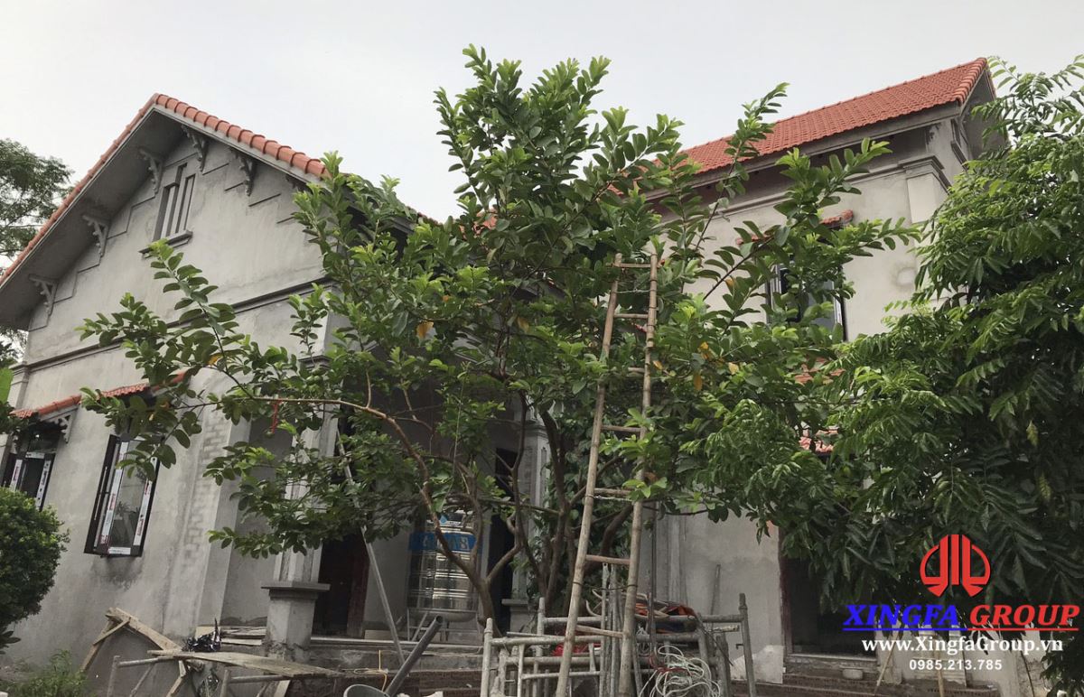 Công Trình Thi Công Cửa Nhôm Xingfa Tại Xã Phong Vân, Ba Vì, Hà Nội